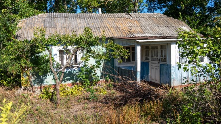 Guide d'achat, loi et prix Maison abandonnée