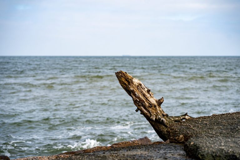 Locations Saisonnières à Saint-Pierre et Miquelon : Guide Complet