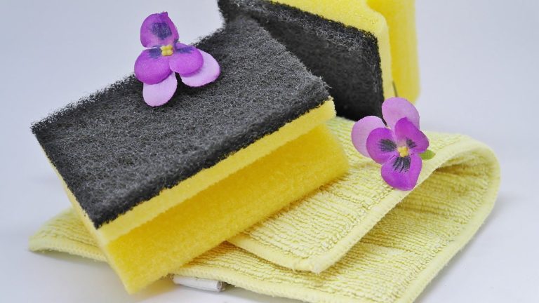hygiene-nettoyage printemps location saisonniere